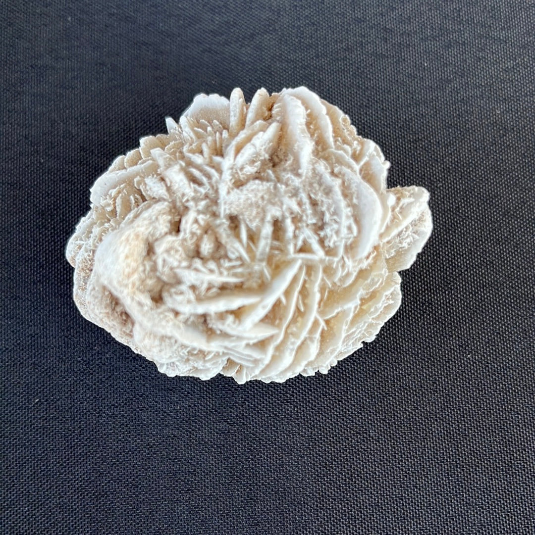 Desert Rose Selenite
